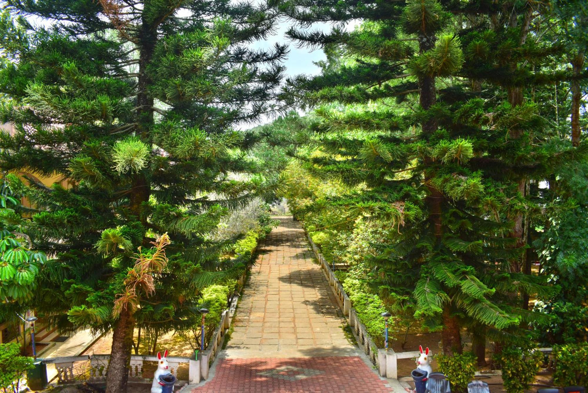 Jains Royal Palace Resorts เยลาคีรี ภายนอก รูปภาพ